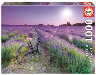 (CLEARANCE SALE) Bike in a Lavender Field (1x1000pc)