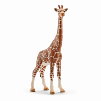 Wild Life - Giraffe, female (17.2cm Tall)