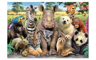 It's a Class Photo (1x1000pc)