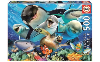 Underwater Selfies (1x500pc)