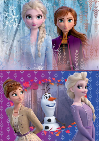 Frozen 2 (2x20pc) Cardboard Puzzle 