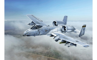 1/48 A-10C Blacksnakes