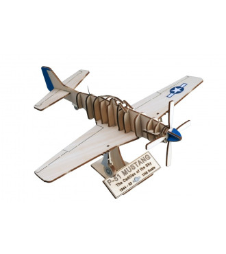 1/48 Mustang P-51 Kit