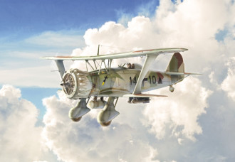1/48 Henschel Hs 123